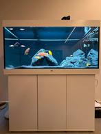 Juwel 350, helialux, malawi visbestand en oase thermo 600, Dieren en Toebehoren, Ophalen, Zo goed als nieuw, Gevuld zoetwateraquarium