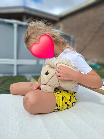 hobbyhorse lessen voor alle niveaus!!! beschikbaar voor biedingen