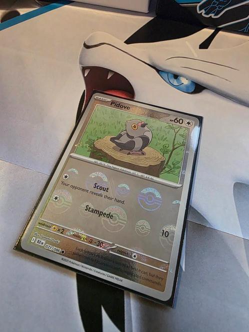 Pokémon Black Bolt Pidove Poke Ball BLK 071, Hobby en Vrije tijd, Verzamelkaartspellen | Pokémon, Nieuw, Losse kaart, Foil, Ophalen of Verzenden