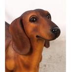 Hondenbeeld teckel 87 cm - teckelbeeld, Verzamelen, Nieuw, Ophalen of Verzenden