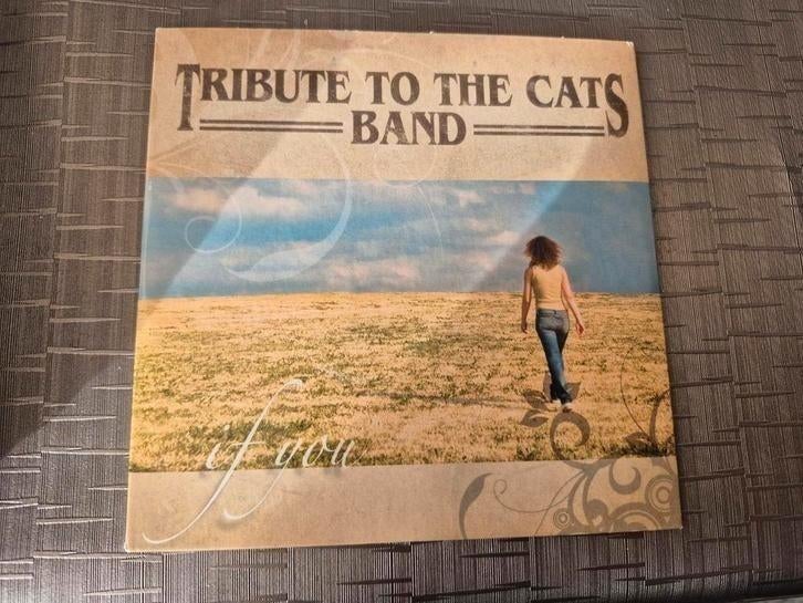 Cd Single Tribute To The Cats Band If You, Cd's en Dvd's, Ophalen of Verzenden, Gebruikt, Pop