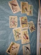 Rizla zo leer je vogels kennen, Ophalen of Verzenden, Gelezen