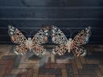 Grote ophangbare tuinvlinders, Tuin en Terras, Ophalen