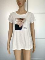 F660 Nieuw:  Esqualo mt XS=34 top t-shirt wit, Kleding | Dames, Nieuw, Maat 34 (XS) of kleiner, Ophalen of Verzenden, Wit