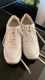Danes sneakers maat 40, Kleding | Dames, Schoenen, Wit, Ophalen of Verzenden, Sneakers of Gympen, Novo