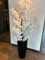 Kunst Sierboom, Huis en Inrichting, Ophalen, Zo goed als nieuw