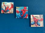 Canvas Spiderman doeken 25x25 cm, Ophalen, Zo goed als nieuw