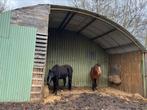 Weidegang met schuilstal, Dieren en Toebehoren, Stalling en Weidegang, Weidegang, 1 paard of pony