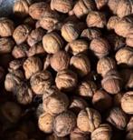 Verse walnoten, Ophalen of Verzenden