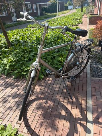 Gazelle orange limited editon  beschikbaar voor biedingen