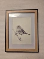 Originele vogel pentekening in Lijst, Antiek en Kunst, Ophalen of Verzenden