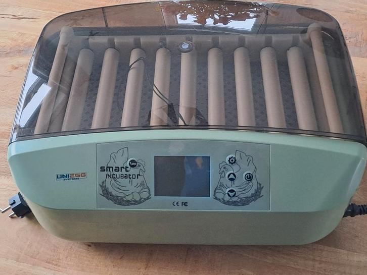 Broedmachine, Sieraden, Tassen en Uiterlijk, Uiterlijk | Haarverzorging, Nieuw, Ophalen of Verzenden