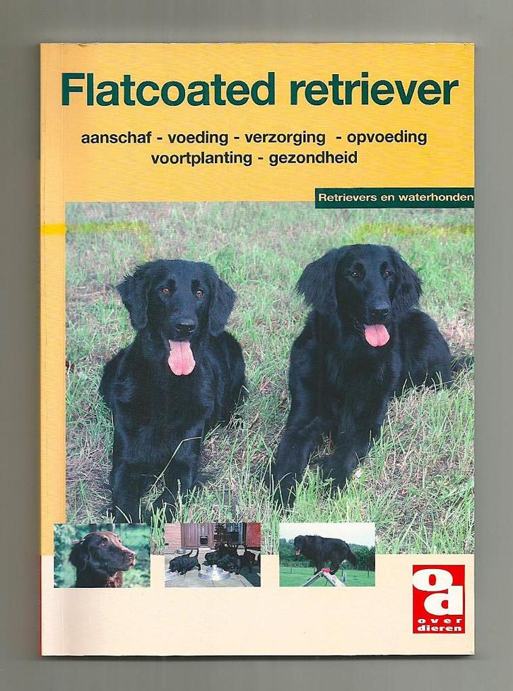 De flatcoated retriever - Anneke Tasseron, Boeken, Dieren en Huisdieren, Nieuw, Honden, Ophalen of Verzenden