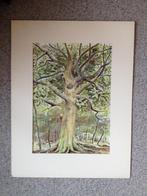 Aquarellen ven K. Spaans, 3 verschillende, niet ingelijst., Ophalen