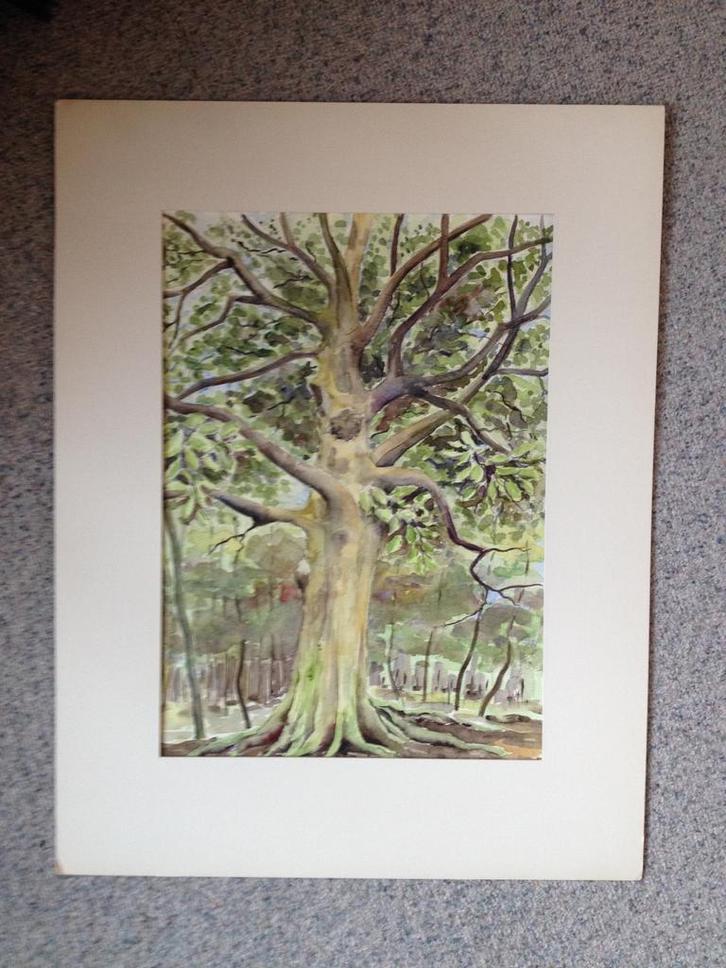 Aquarellen ven K. Spaans, 3 verschillende, niet ingelijst., Antiek en Kunst, Kunst | Tekeningen en Foto's, Ophalen