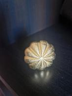 Deurknop bloem goud 10x, Ophalen, Nieuw
