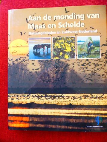 Aan de monding van Maas en Schelde beschikbaar voor biedingen