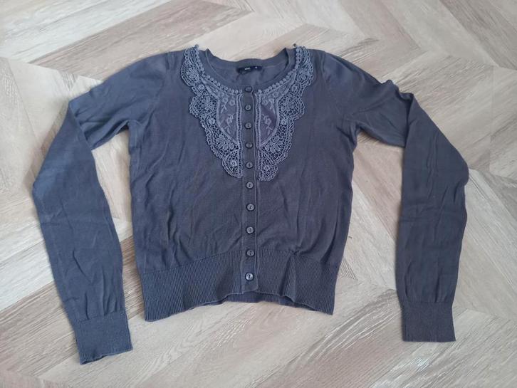 Vest met kant borduursel - Maat M, Kleding | Dames, Truien en Vesten, Zo goed als nieuw, Maat 38/40 (M), Grijs, Ophalen of Verzenden
