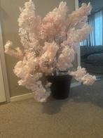 🌸Bloesem boom takken🌸, Huis en Inrichting, Woonaccessoires | Kunstplanten en Kunstbloemen, Ophalen of Verzenden, Zo goed als nieuw