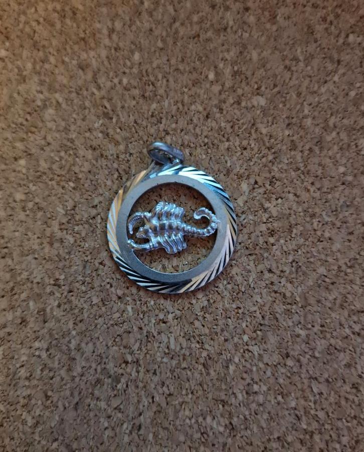 Zilveren Schorpioen Hanger, Sieraden, Tassen en Uiterlijk, Kettinghangers, Zo goed als nieuw, Zilver, Zilver, Ophalen of Verzenden