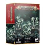 warhammer Age of Sigmar Nighthaunt Spirit Host, Figuurtje(s), Nieuw, Warhammer, Ophalen of Verzenden