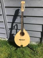 Flat top mandoline, Muziek en Instrumenten, Snaarinstrumenten | Mandolines, Nieuw, Ophalen