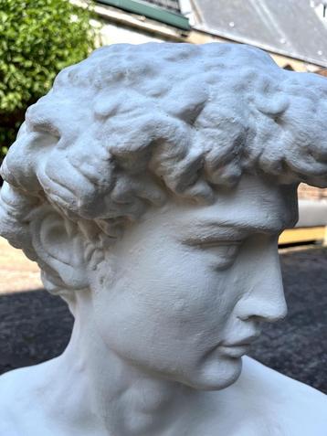 Borstbeeld “David” van Michelangelo. beschikbaar voor biedingen