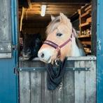 Bordeaux halster met halstertouw, maat cob., Dieren en Toebehoren, Ophalen of Verzenden, Nieuw, Recreatie