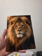 Aluminium Plaat met leeuw  20x15cm - Nieuw!, Ophalen of Verzenden
