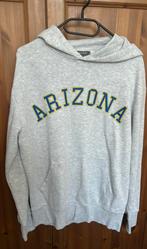 Hoodie « arizona » heren maar M licht grijs, Ophalen of Verzenden, Zo goed als nieuw, Maat 48/50 (M)