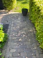Gebakken dik voormaat broodjes, Tuin en Terras, Tegels en Klinkers, Ophalen, Gebruikt, 10 m² of meer, Klinkers