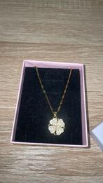Ketting rvs Goud, Overige materialen, Nieuw, Ophalen of Verzenden, Goud
