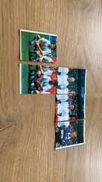 Panini voetbal 91 nederlands elftal, Ophalen of Verzenden, Zo goed als nieuw, Overige binnenlandse clubs, Poster, Plaatje of Sticker