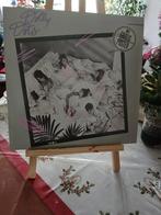 Dolly Dots - Safety Film (LP, 1984) met poster plaat, Ophalen of Verzenden, 1980 tot 2000, Gebruikt, 12 inch