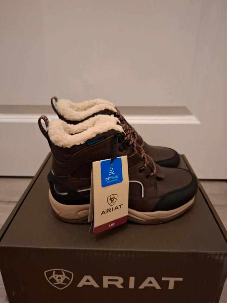 Nieuwe Ariat Laarzen, Kleding | Dames, Schoenen, Nieuw, Lage of Enkellaarzen, Bruin, Ophalen of Verzenden