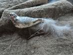 Zilverkleur vogel op knijper, Ophalen of Verzenden