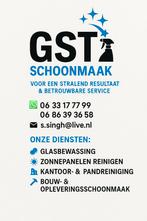 Zzp'r zoekt schoonmaak opdrachten, Overige vormen
