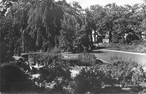 (377-705-005) Leiden Hortus Botanicus, Verzamelen, Ansichtkaarten | Nederland, Zuid-Holland, Verzenden