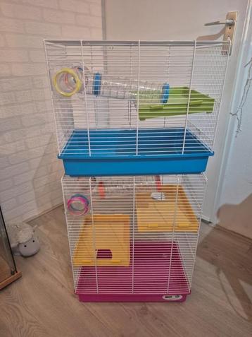 hamsterhok beschikbaar voor biedingen