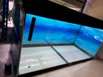 Juwel Rio 180 Aquarium, Ophalen, Zo goed als nieuw, Leeg aquarium