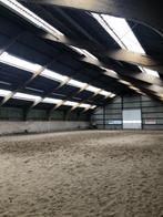 Paardenstalling, Dieren en Toebehoren, Stalling en Weidegang, Weidegang