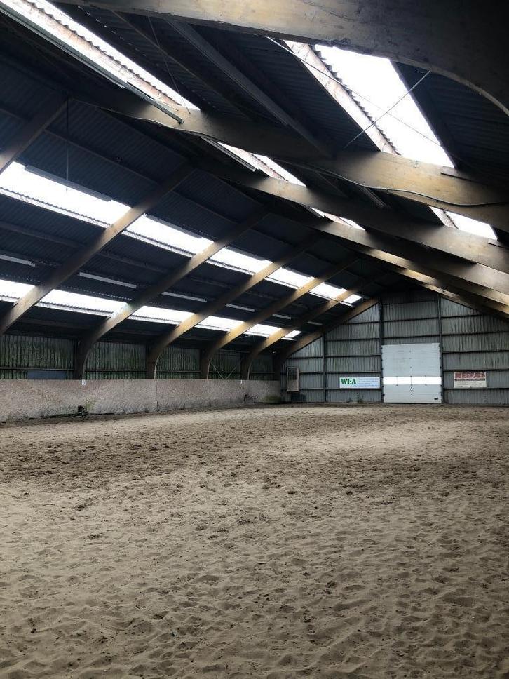 Paardenstalling, Dieren en Toebehoren, Stalling en Weidegang, Stalling, Weidegang