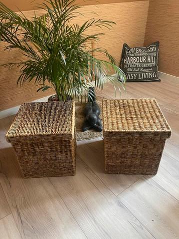 2 Stevige rotan manden met deksel – €12,50 per stuk beschikbaar voor biedingen