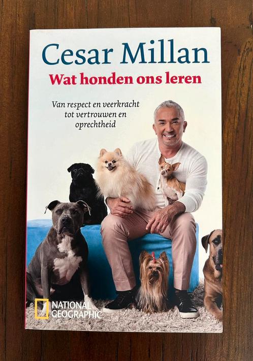 Cesar Millan - Wat honden ons leren, Boeken, Dieren en Huisdieren, Honden, Ophalen of Verzenden