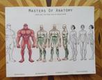 Masters of Anatomy - the Ideal Male & Female Body, Verzenden, Zo goed als nieuw, Tekenen en Schilderen