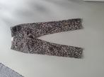 Panterbroek, Kleding | Dames, Broeken en Pantalons, Ophalen of Verzenden, Zo goed als nieuw, Maat 34 (XS) of kleiner