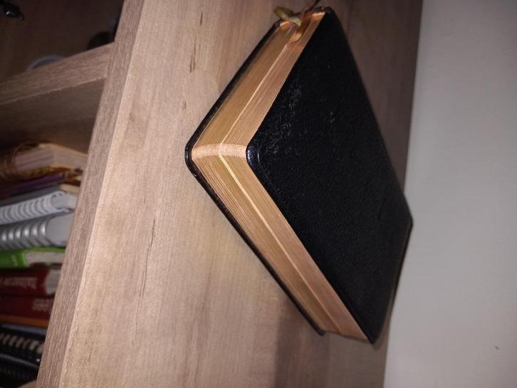 Dagmissaal Brepols Turnhout -1956-, Antiek en Kunst, Antiek | Boeken en Bijbels, Ophalen of Verzenden