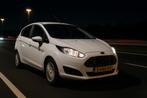 Ford Fiësta 1.0 48KW/65PK 5D 2013 Wit, Euro 5, Stof, Zwart, 525 kg