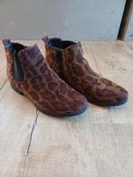 Leuke luipaard enkellaarsjes in maat 40, bruin, panter, Overige kleuren, Lage of Enkellaarzen, Ophalen of Verzenden, Gedragen