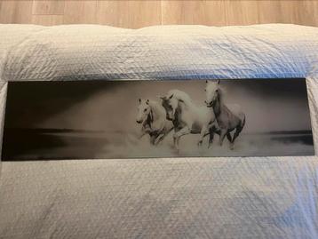 Glasen schilderij, paarden beschikbaar voor biedingen